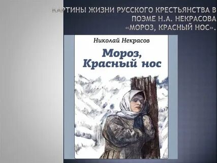 Найдите в тексте описание мороз красный нос