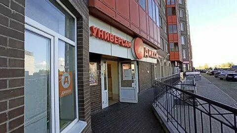 Домовой мурино