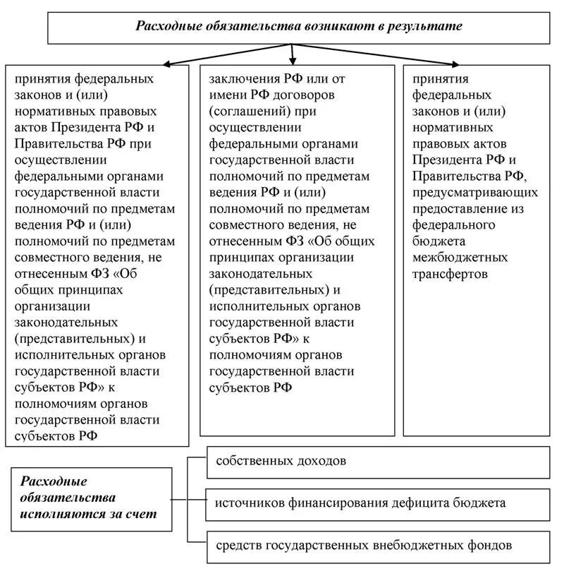 Расходные обязательства муниципального образования схема. Виды расходных обязательств публично-правовых образований. Расходные полномочия и расходные обязательства. Расходные обязательства субъекта РФ виды. Установление расходного обязательства