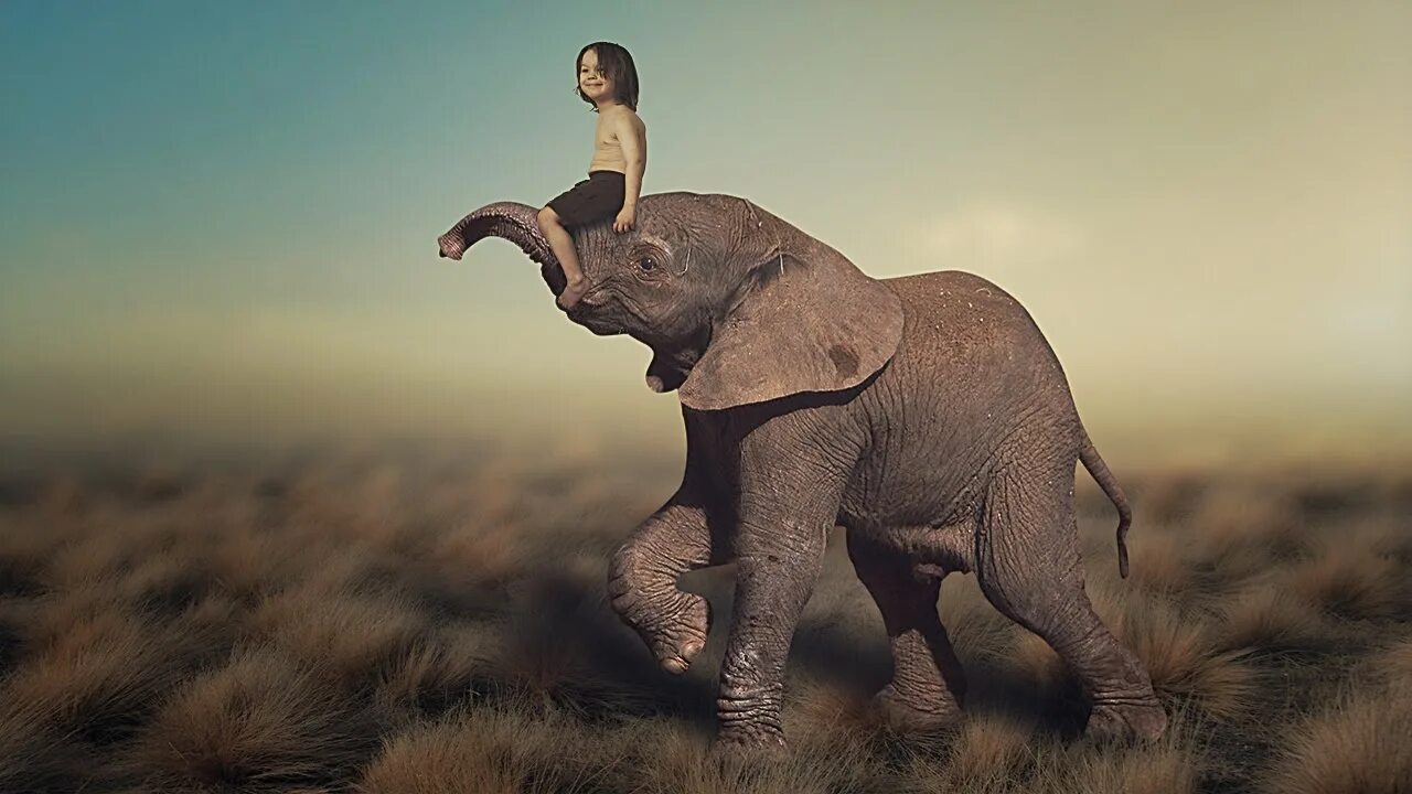 Huge elephant. Big Elephant. Surreal Elephant. Elephant big Boss. Surrealism Elephant.