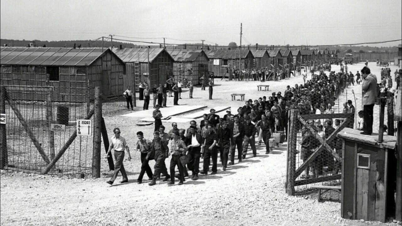 пленные под вязьмой в 1941. осужденные военнопленные. осужденные военнопленные. контрационные лагеря финляндия. плен советских солдат в 1941.