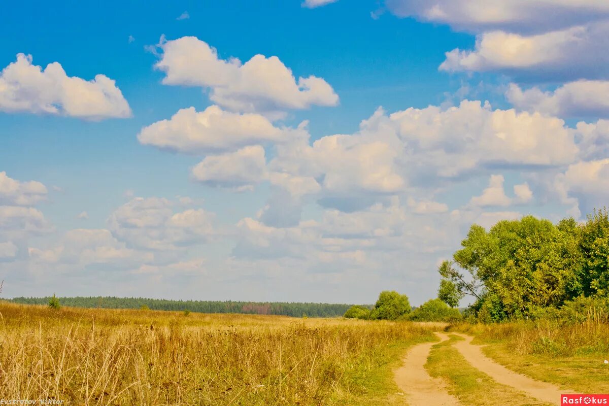даль великая даль бескрайняя. безграничная даль. просторы раздолье подмосковье. бескрайние дали фото. русские просторы.