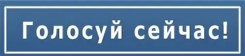 Голосование текст