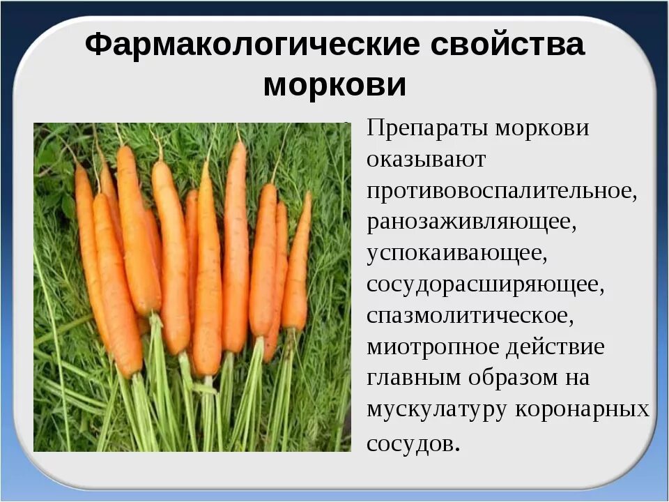 Любит ли морковь. Полезные факты о моркови. Интересные факты о морковке. Bynthtcyst afrns j vjhrjdrt. Чем полезна морковь.