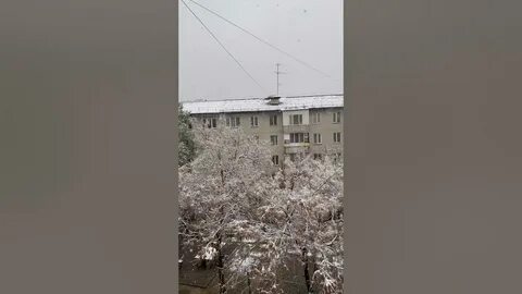 Снег в казахстане