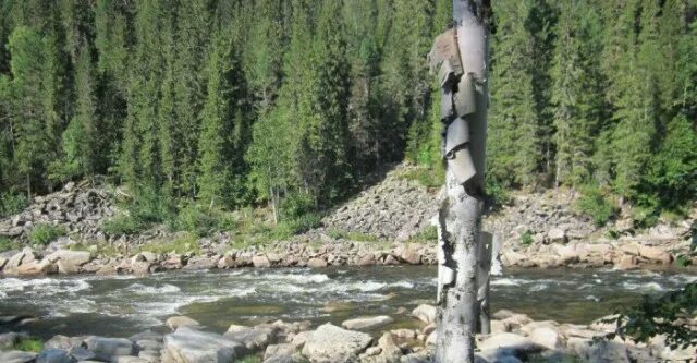 Порог нижнеудинский район. Село порог Нижнеудинского района Иркутской области. Деревня пороги Нижнеудинский район. Фото Нижнеудинского района.