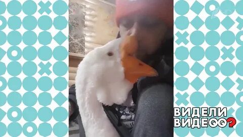 Видели видео 24