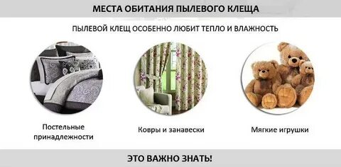 Пылевые клещи чем опасен