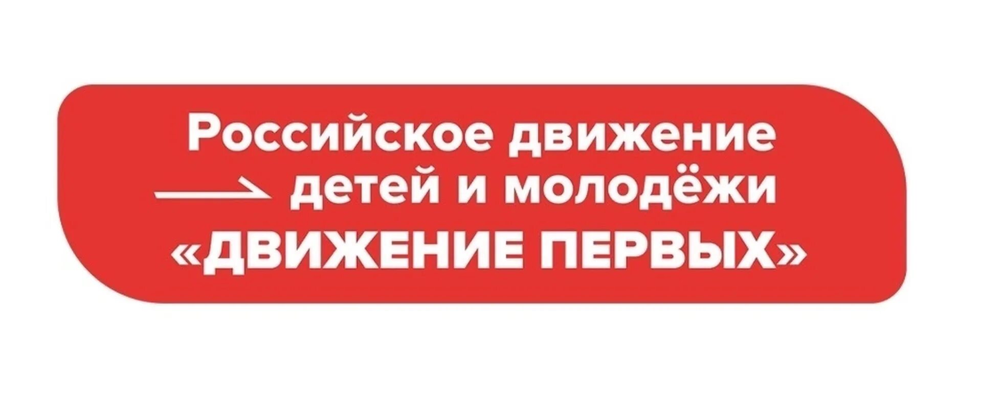 Движение первых эмблема. Значок рддм. Рддм движение первых логотип. Слоганы рддм. Устав рддм движение первых утвержден