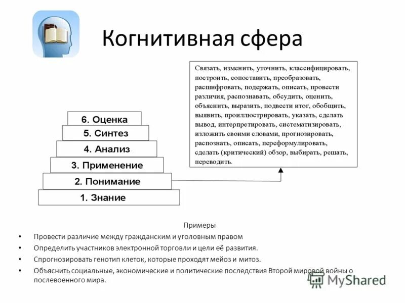 когнитивная сфера это в психологии