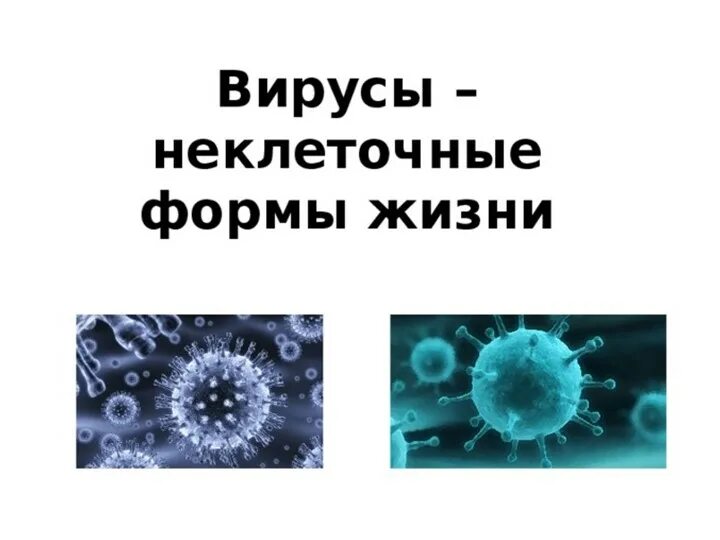 Неклеточное строение вирусов. Вирусы неклеточные формы жизни. Вирусы как внеклеточная форма жизни. Биология неклеточные формы жизни вирусы. Сообщение вирусы неклеточная форма жизни.