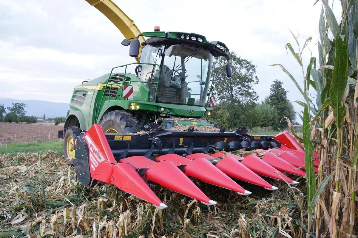 Claas dominator 370. Case 203 жатка. Жатка для силоса. Жатка орбис 600 кукурузная. Жатка для силоса.