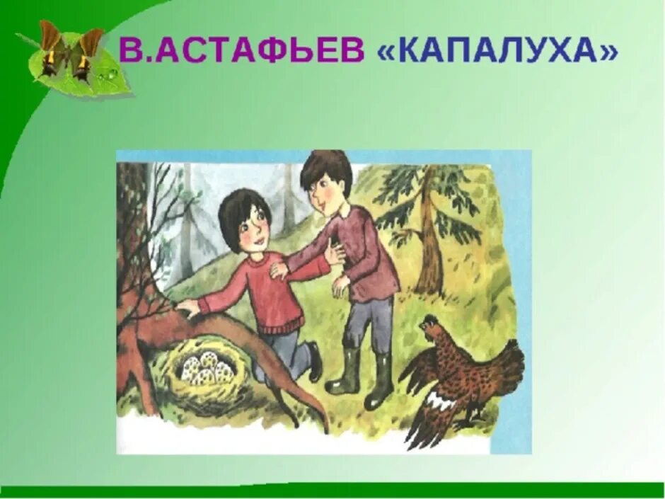 Капалуха литературное чтение тест. Капалуха Астафьев. В П Астафьев Капалуха. Иллюстрация к рассказу Капалуха Астафьев. Астафьев Капалуха 3 класс.