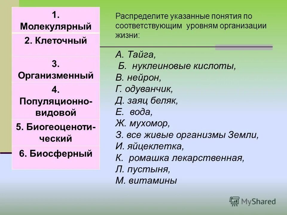 организация жизни. уровни организации живых организмов. уровни дыхательного центра. укажите уровень организации. уровни организации биологических систем таблица.