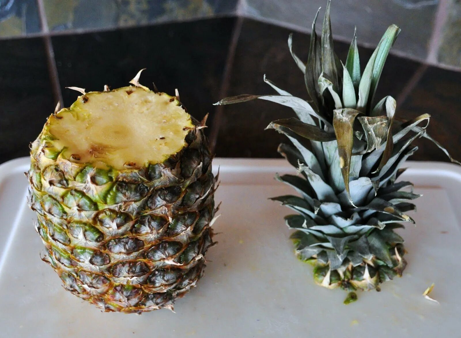 Чтобы созрел ананас. Ананас (ananas) срезка. проращивание ананаса. укоренить ананас. дом ананас.