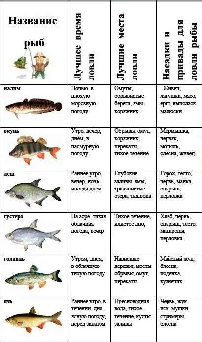Когда нерестится лещ. Таблица нереста рыбы. Давление для ловли карася таблица. Давление для рыбы таблица. Период нереста рыбы.