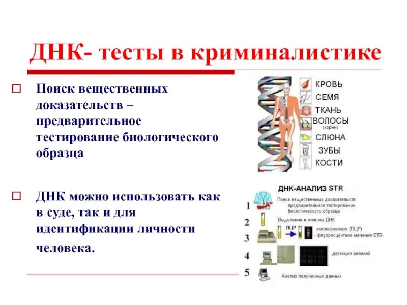 Днк 20.02 24. ДНК криминалистика. ДНК экспертиза в криминалистике. Использование ДНК В криминалистике. Примеры ДНК В криминалистике.