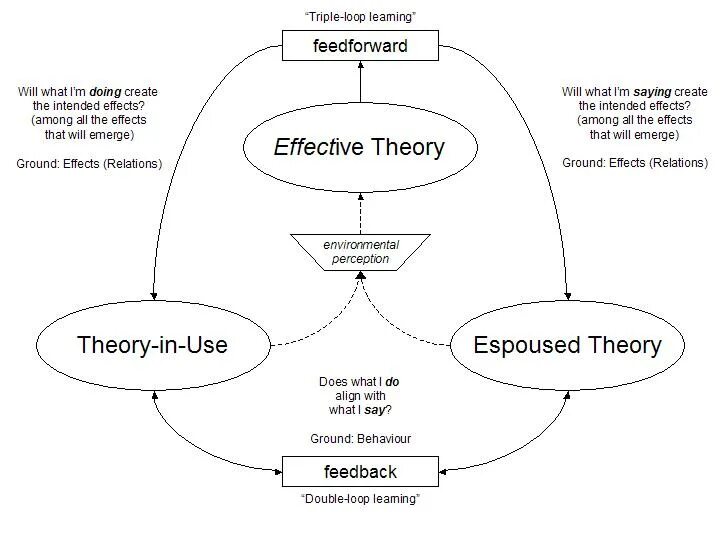 One theory as to. Argyris’s theory. theory of effectiveness. jdr theory. kolhberg theory in practice.