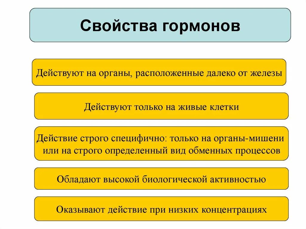 Основные св ва гормонов. Перечислите характерные свойства гормонов. Свойства гормонов схема. Таблица свойства гормонов и функции гормонов.