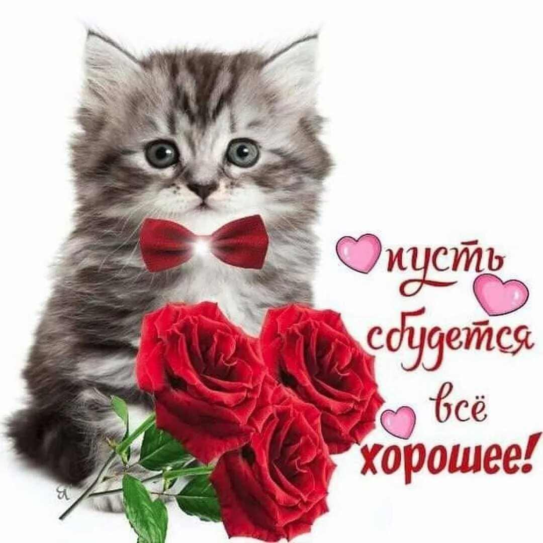 Красивая картинка доброе утро леночка. Доброе утро елена. доброе утро леночка. с добрым утром елена прекрасная. открытки с добрым утром ленуся.