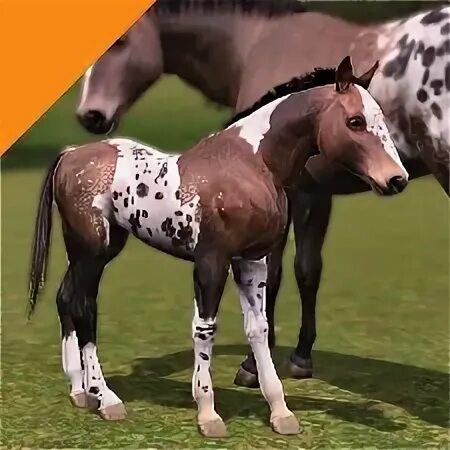 Симс 3 аппалуза. Симс 3 жеребята. симс 3 лошади. sims 3 лошадь-спирит.