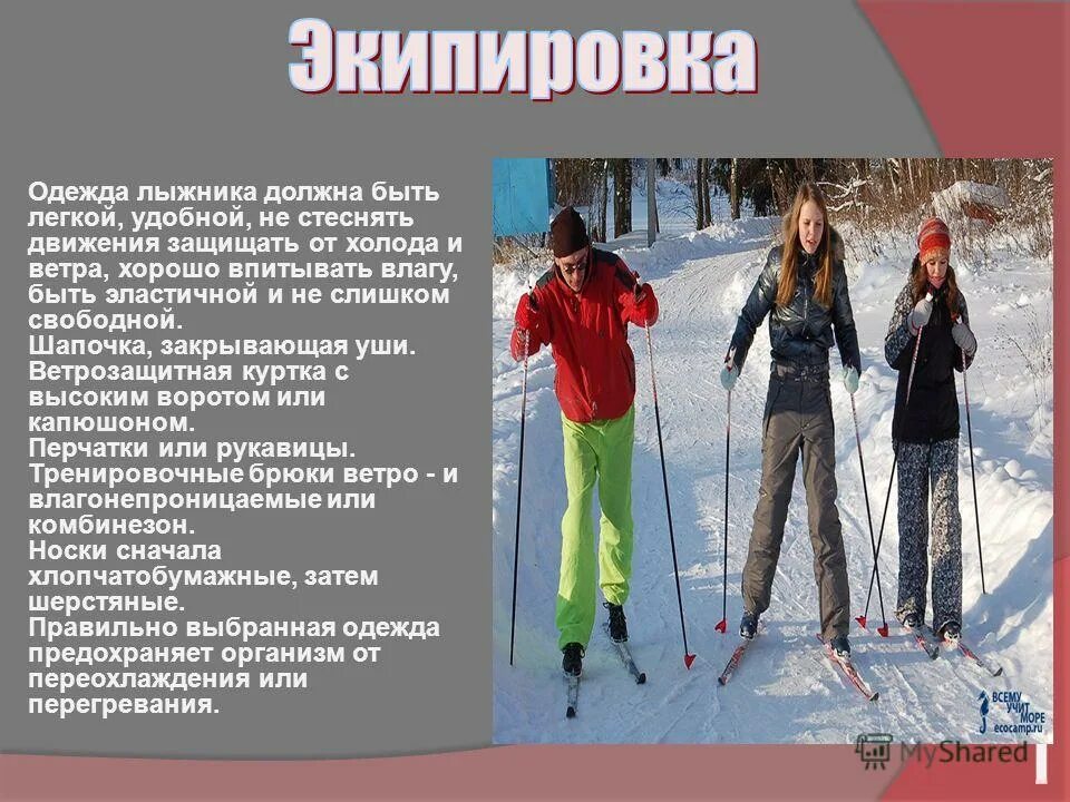 Одежда лыжника школьника. Одежда обувь лыжный инвентарь. Одежда обувь лыжный инвентарь. Лыжная подготовка. Инвентарь лыжника.