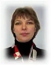 Сайт лицея 265 спб