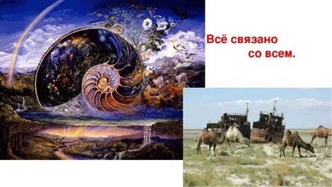 Все связано со всем