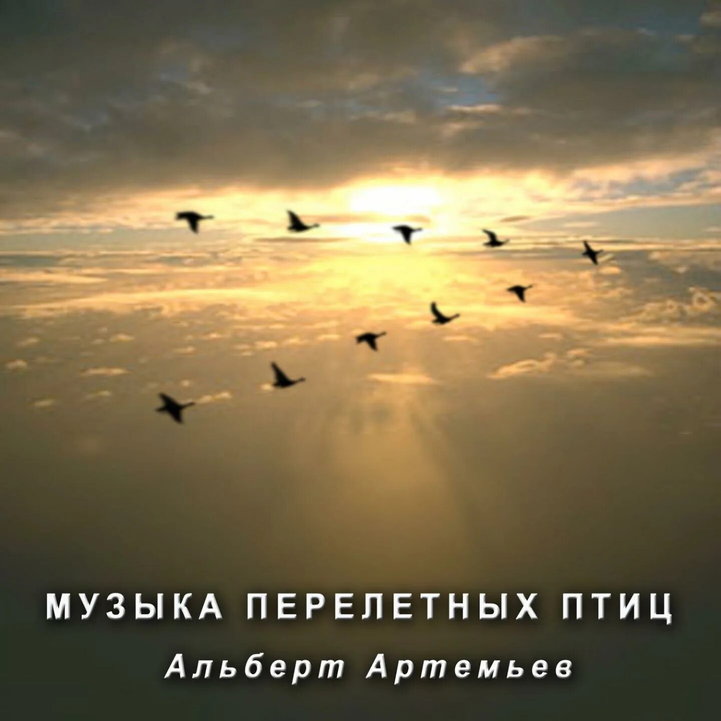 слушать песни перелетная птица