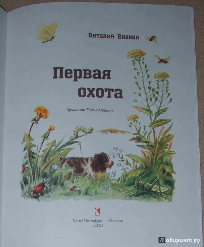 Произведение первая охота. 1 Охота Бианки. Книги Виталия Бианки первая охота.