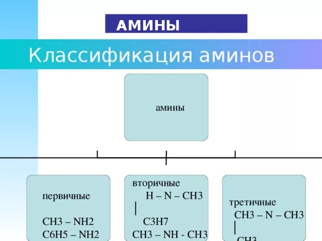 Амины группы б. Амины классификация Аминов. Амины первичные вторичные третичные таблица. Классификация Аминов первичные вторичные третичные. Номенклатура Аминов.