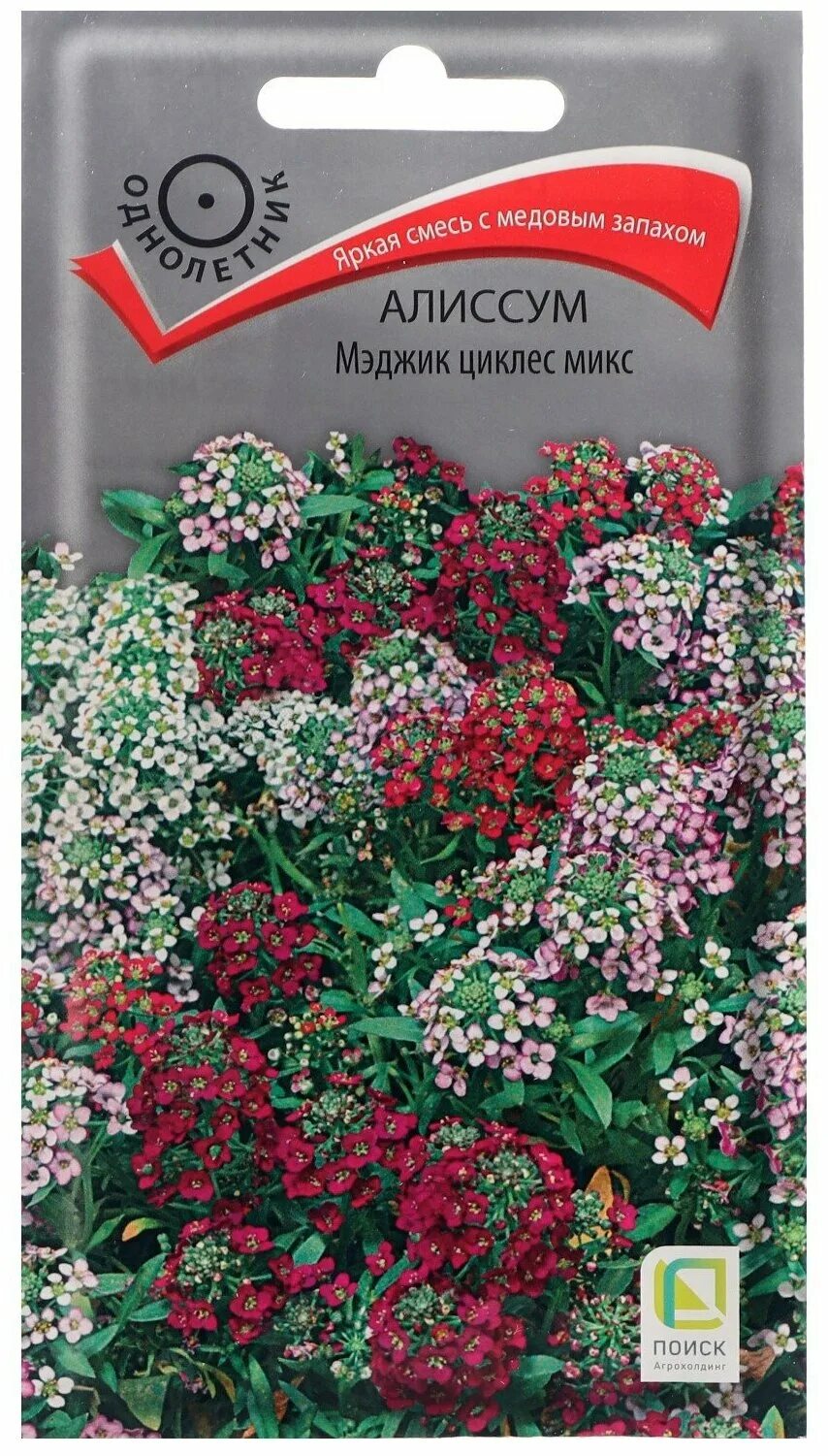 Алиссум Мэджик Циклес Микс, 0,1г от 25 руб. в Москве. Звоните!