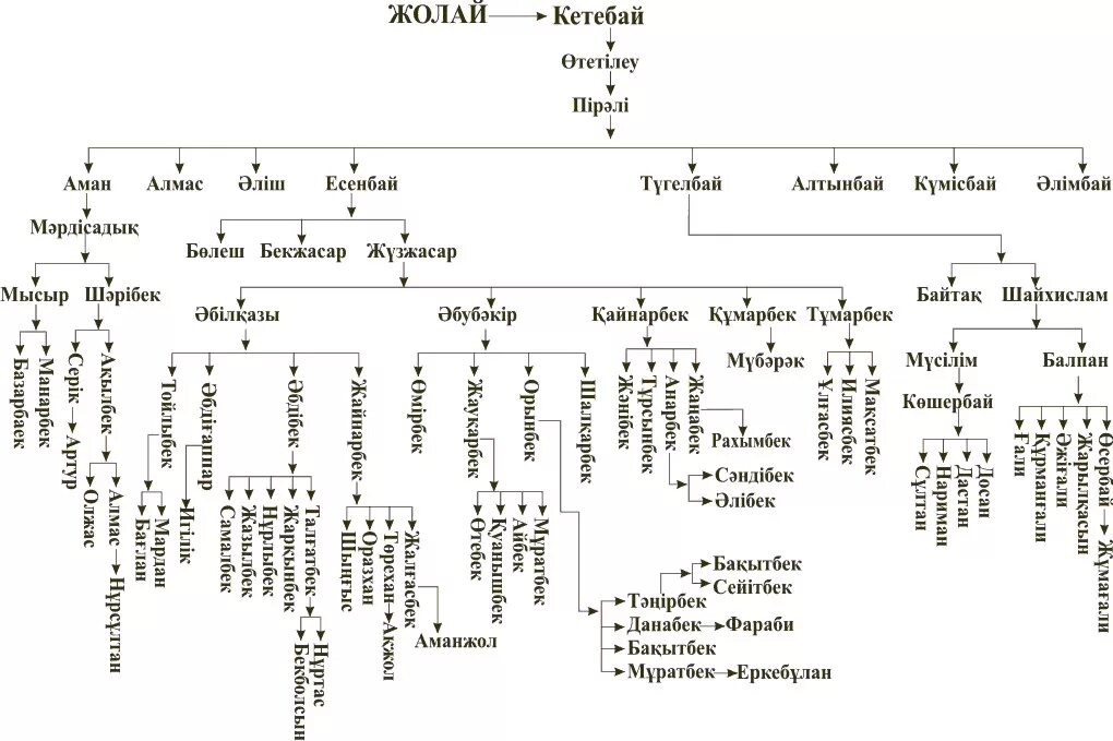 Кіші жүз ханы. Шежіре Найман. Шежире казахов. Шежире Аргынов схема поколений. Родословная Найманов.