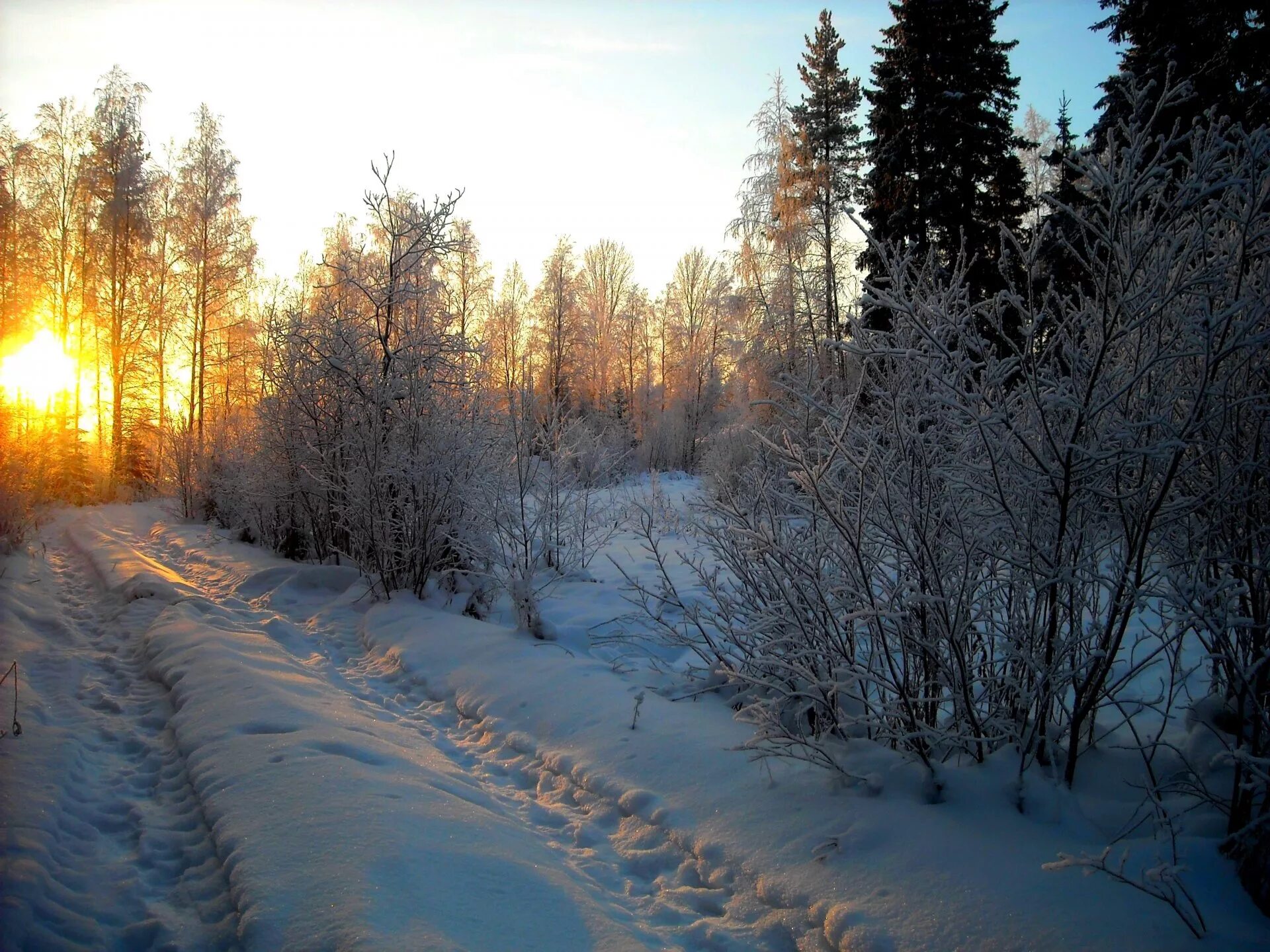 Зима. Зимой в лесу. Зимняя дорога в лесу. Закат в зимнем лесу.