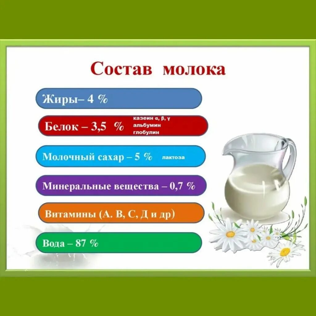 Какие вещества содержатся в молоке химия. Состав молока белки жиры углеводы витамины. Состав молока. Из чего состоит молоко. Химические вещества в молоке.