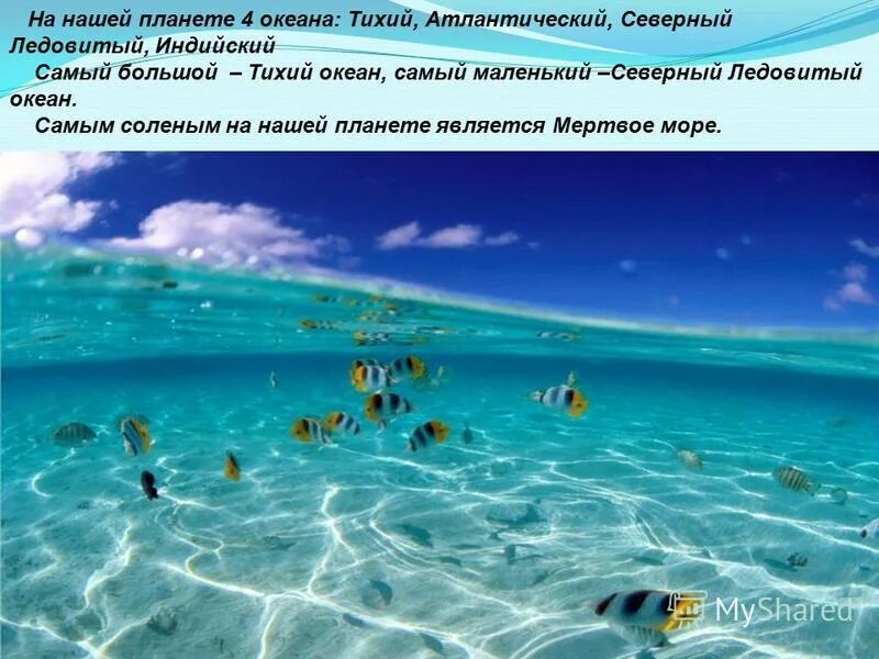 Какой океан самый молодой. Самое соленое море тихого океана. какой океан является самым солёным?. самое соленое озеро в тихом океане. какой океан самый тихий какой самый спокойный какой самый маленький.
