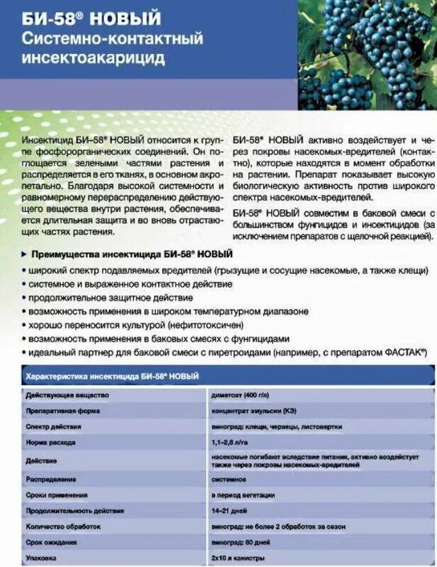 Фунгициды для винограда список – Telegraph