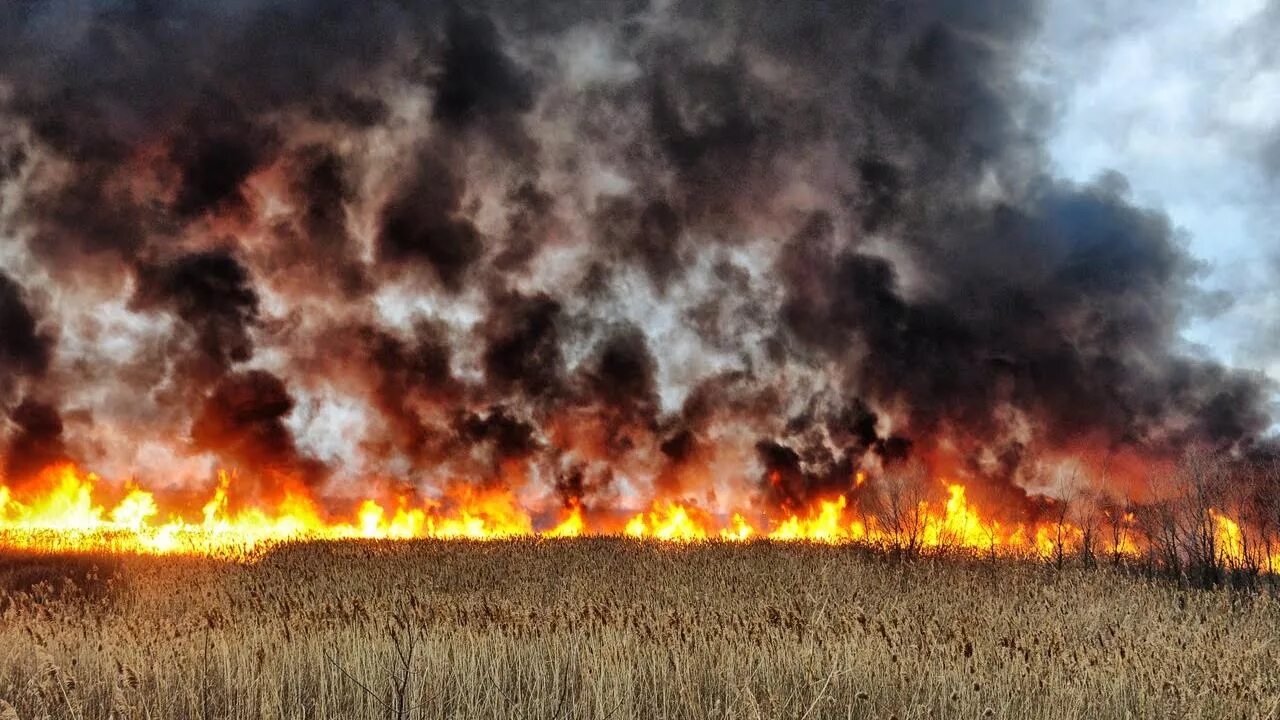 Степные пожары. Полевые пожары. Степные и полевые пожары. Пожар в степи. Войны пожары песня