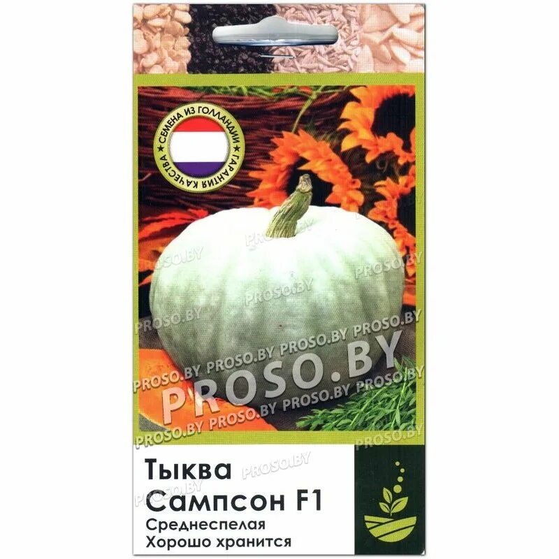 Тыква сампсон f1. Тыква сампсон семена. Тыква самсон f1. Сорт тыквы сампсон. Тыква сампсон фото.