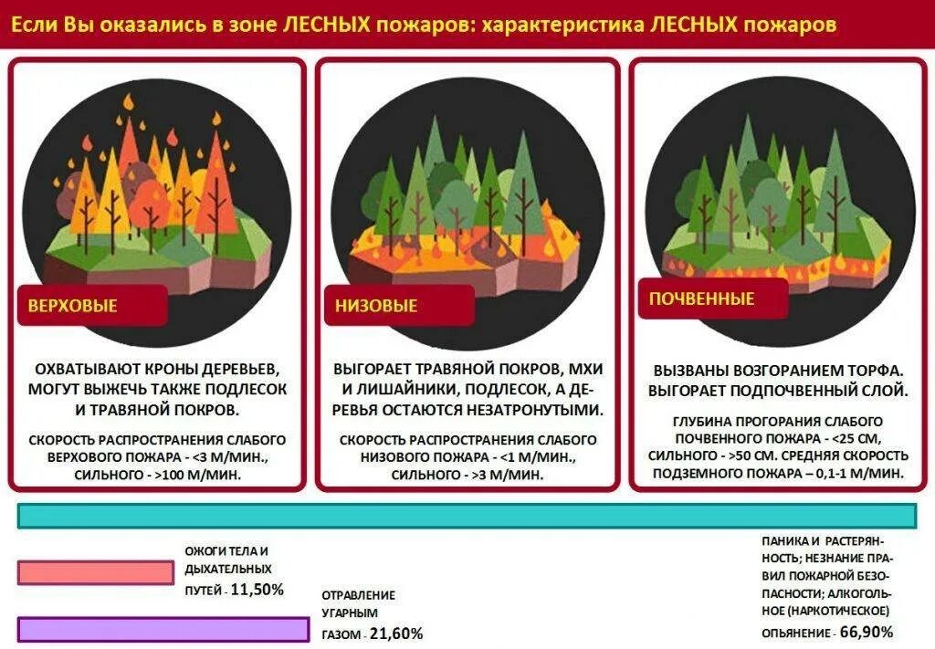 Пожар в лесу какой фактор. Виды лесных пожаров. Действия при Лесном пожаре. Лесные пожары правила поведения. Безопасность при лесных пожарах.