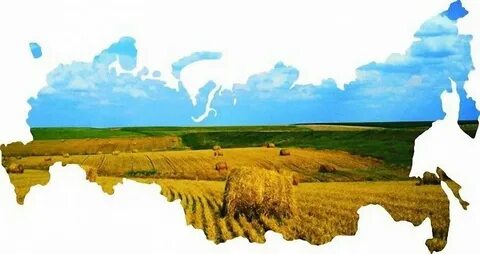 Российский национальный ресурс