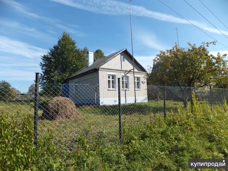 Козлово тверская область дома улицы. Посёлок козлово спировский тверская область. Посёлок козлово спировский тверская область. Козлово церковь тверская область. Поселок козлово тверская.