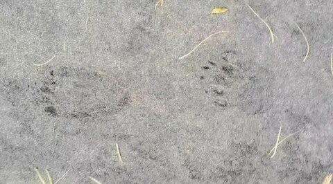 Где искать следы