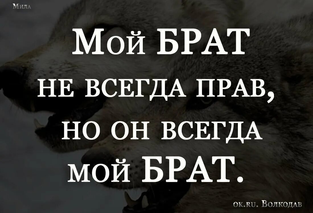 Цитаты про брата. Брат это цитаты от сестры. Статусы про брата. Цитаты про брата со смыслом. Крылатые братья