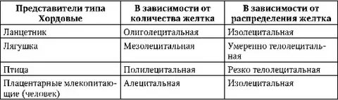 Тип яйцеклеток содержащих малое количество желтка