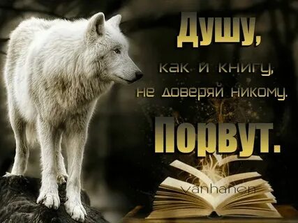 Никому никому не расстегивала