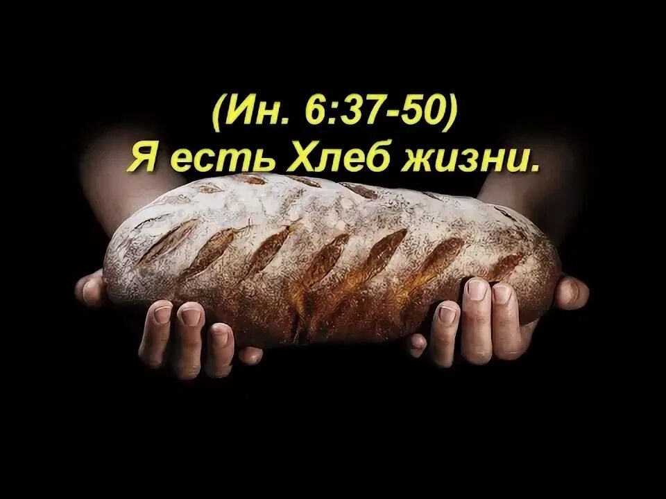 Хлеб жизни. Я есть хлеб жизни. Икона хлеб жизни. Журнал, газета ОЦХВЕ хлеб жизни.