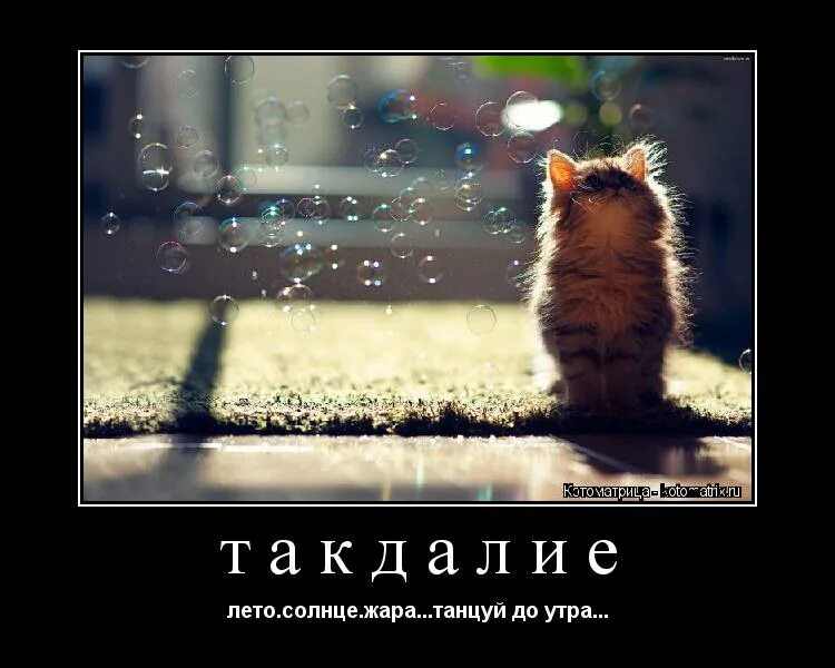 Лето , солнце , жара танцуй до утра po. Лето солнце жара fly project. Текст песни лето солнце жара. Лето солнце жара танцуй до утра. Статус про жару и лето.