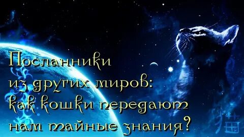 Проводник в мир