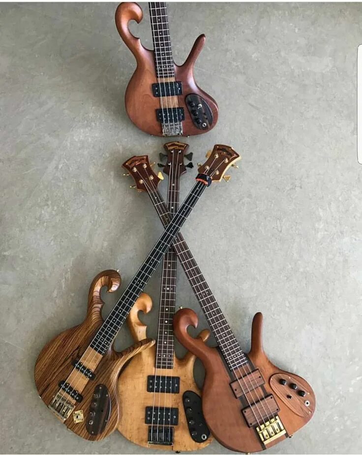 Томпсон гитара. Бас гитара carl thompson. бас лес клейпул. лес клейпул гитара. les claypool bass guitar.